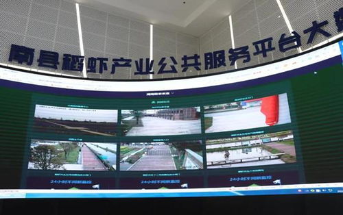 罗讯专题调研稻虾产业发展与餐饮管理